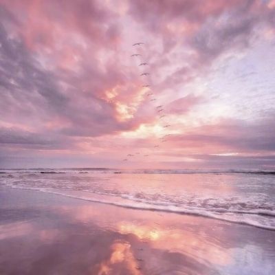 狗万官网app下载